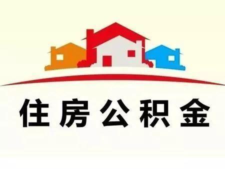 小叶桢楠百度百科 小叶桢楠