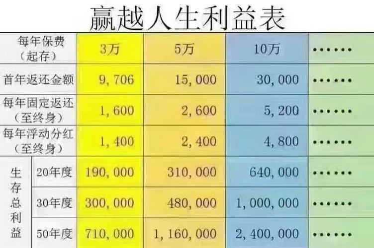 平安赢越人生 平安赢越人生年金保险 分红型