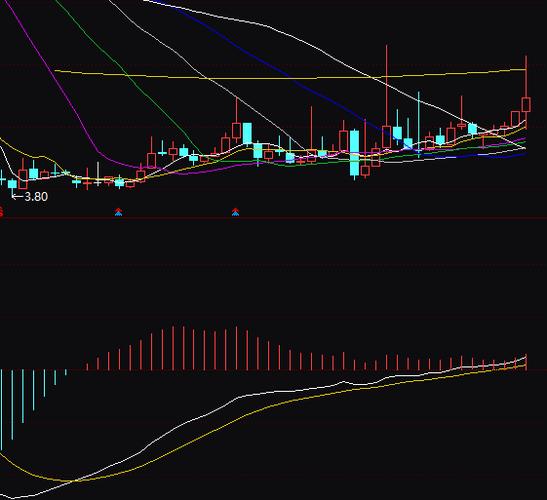 罗普斯金股票行情_罗普斯金股票